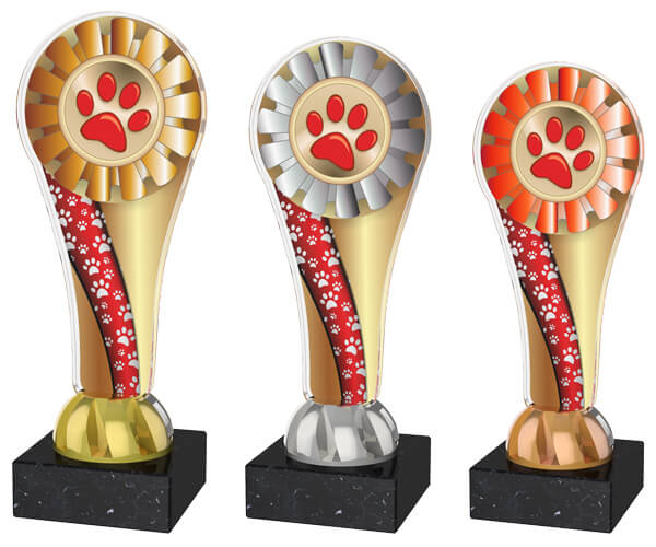 Akrylátová trofej ACLC2100