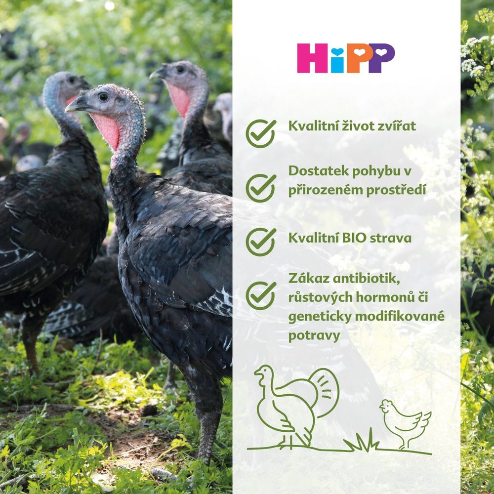 BIO Bramborové pyré s kukuřicí a krůtím masem (obrázek 4)
