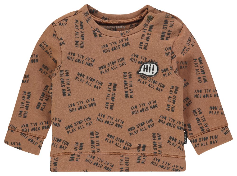 Noppies Sweater Pascoe Washed Wood