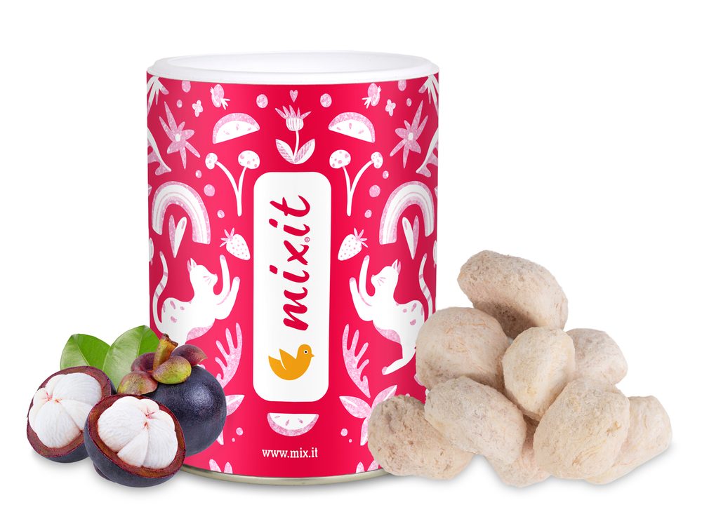 Mixit Křupavé ovoce Mangosteen (70g)