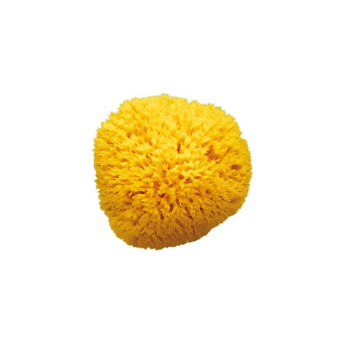 OK Baby mořská houba Honeycomb - M 12