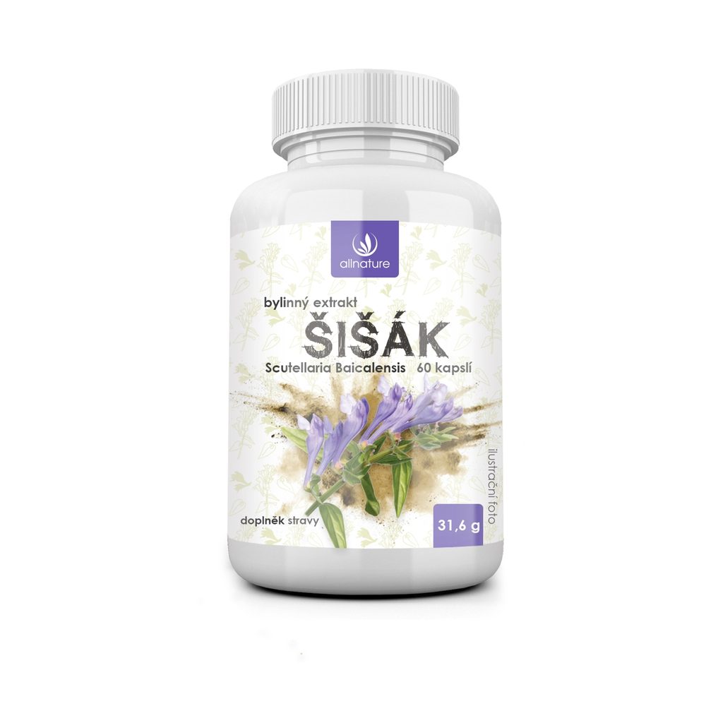 Allnature Šišák bylinný extrakt 60 cps.