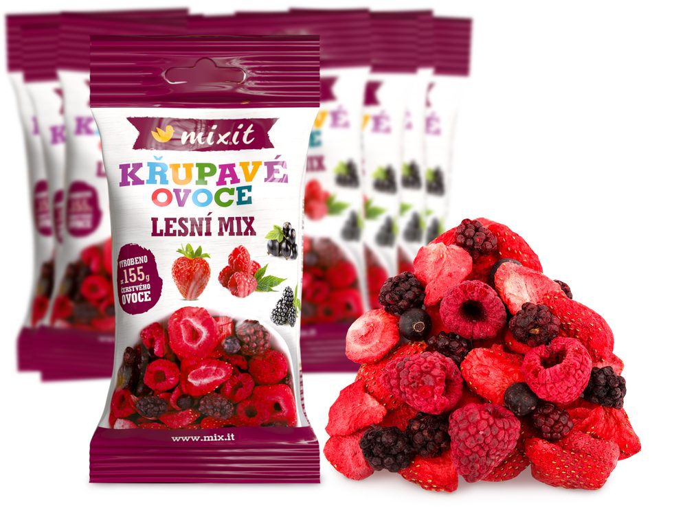 Křupavé ovoce do kapsy - Lesní mix