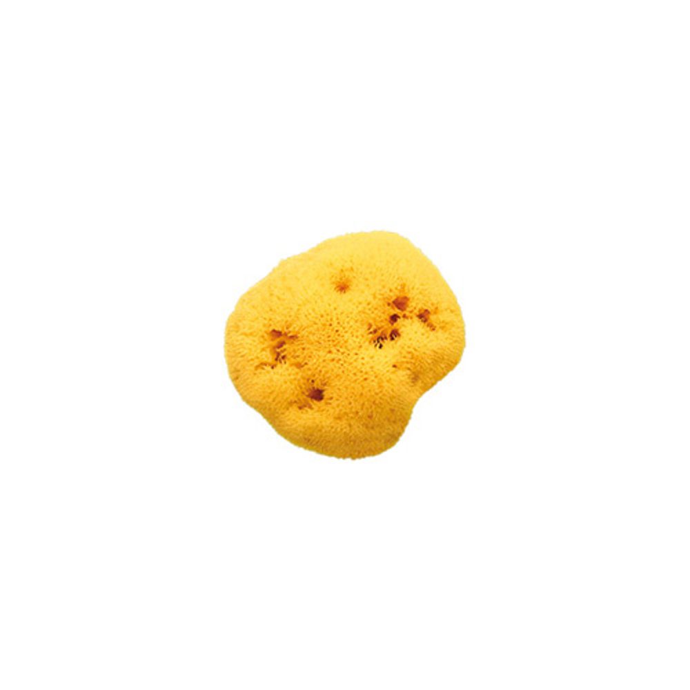 OK Baby mořská houba Honeycomb - M 14