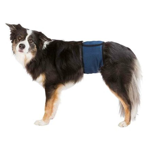 Trixie Břišní pás na podložky pro psa samce L 55-65 cm tmavě modrý - Trixie  - Hárací kalhotky a plenky - Malvík.cz