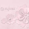 Cybex Fusak SIMPLY FLOWERS 2021