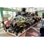 Individuální konzultace