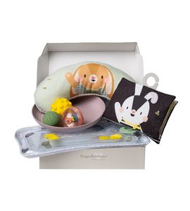 TAF TOYS SADA HRAČEK PRO HRU NA BŘÍŠKU - HRAČKY PRO NEJMENŠÍ - PRO DĚTI