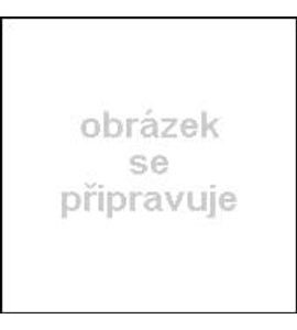 CARRIWELL KALHOTKY TĚHOTENSKÉ/PO PORODU S KRAJKOU C-250 - OBLEČENÍ - OUTLET