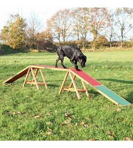 TRIXIE DOG ACTIVITY AGILITY NÁCVIKOVÁ LÁVKA 456X64X30 CM - AGILITY PŘEKÁŽKY - CHOVATELSKÉ POTŘEBY MALVÍKZOO