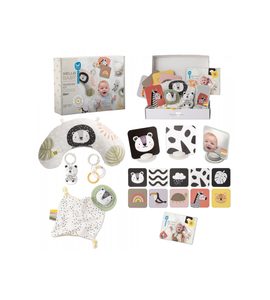 TAF TOYS SADA HRAČEK HELLO BABY - HRA NA BŘÍŠKU - PRO DĚTI