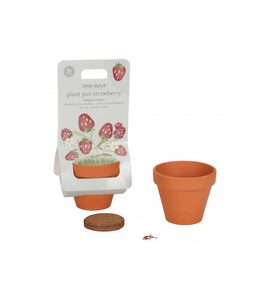 LITTLE DUTCH KVĚTINÁČ JAHODY FOREST FRIENDS - FOREST FRIENDS - PRO DĚTI
