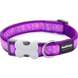 Red Dingo Obojek RD 12 mm x 20-32 cm - Butterfly Purple