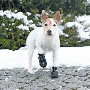 Trixie Ochranné boty WALKER ACTIVE S-M 2 ks (jack russell teriér)