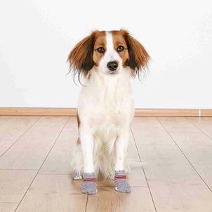 Trixie Protiskluzové šedé ponožky, 2 ks pro psy XL