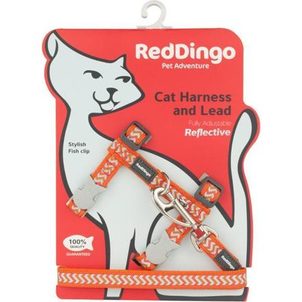 Red Dingo Postroj RD s vodítkem - kočka- Ziggy Rfx- Oranžová