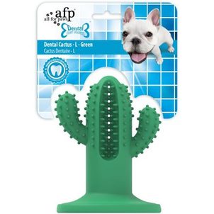 AFP Žvýkací kaktus AFP Dental – Large