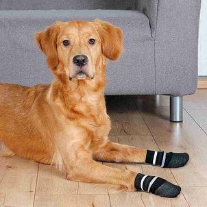 Trixie Protiskluzové ponožky černé L-XL, 2 ks pro psy bavlna/lycra