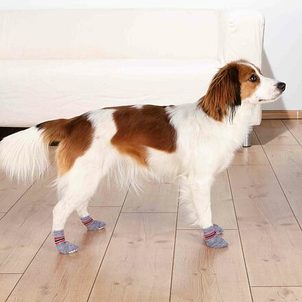 Trixie Protiskluzové šedé ponožky, 2 ks pro psy M-L (zl.retrívr)
