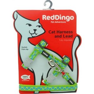 Red Dingo Postroj RD s vodítkem - kočka- Stars Turquoise