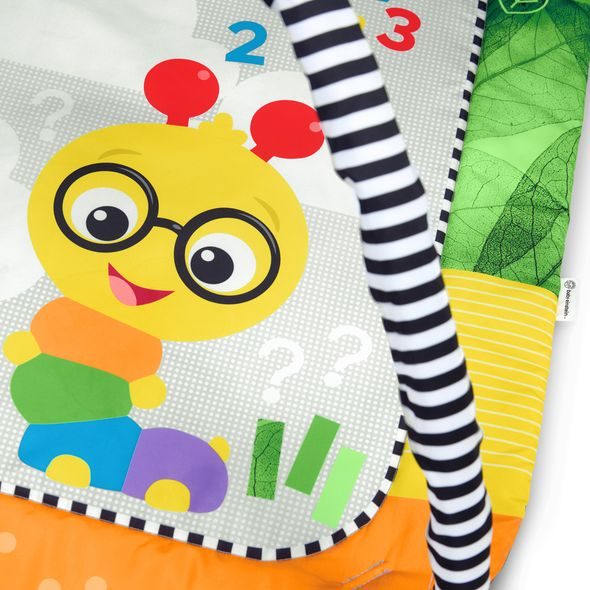 BABY EINSTEIN DEKA NA HRANÍ MULTISENZORICKÁ CAL'S CURIOSITY CENTER™, 0M+ - HRACÍ DEKY - PRO DĚTI
