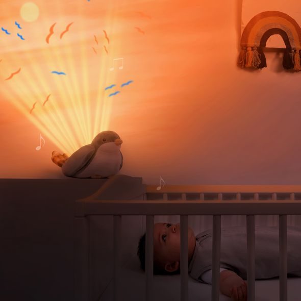 ZAZU VRABEC SHALLY - PROJEKTOR ZÁPADU SLUNCE S MELODIEMI - PROJEKTORY - SPINKÁNÍ