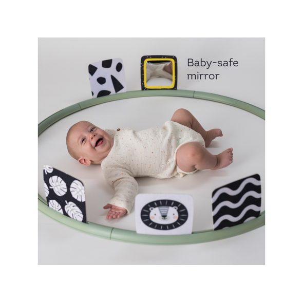 TAF TOYS HRACÍ KRUH PRO HRU NA BŘÍŠKU - HRA NA BŘÍŠKU - PRO DĚTI