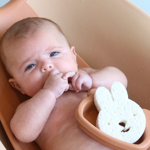 BO JUNGLE PŘÍRODNÍ HOUBIČKY NA MYTÍ 3KS - ŽÍNKY A HOUBIČKY - KOUPÁNÍ A ZDRAVÍ