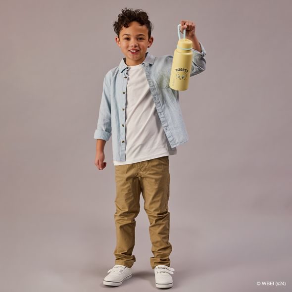 B.BOX NEREZOVÁ TERMOLAHEV S BRČKEM 1L - LOONEY TUNES - TERMOOBALY A TERMOSKY - KRMENÍ