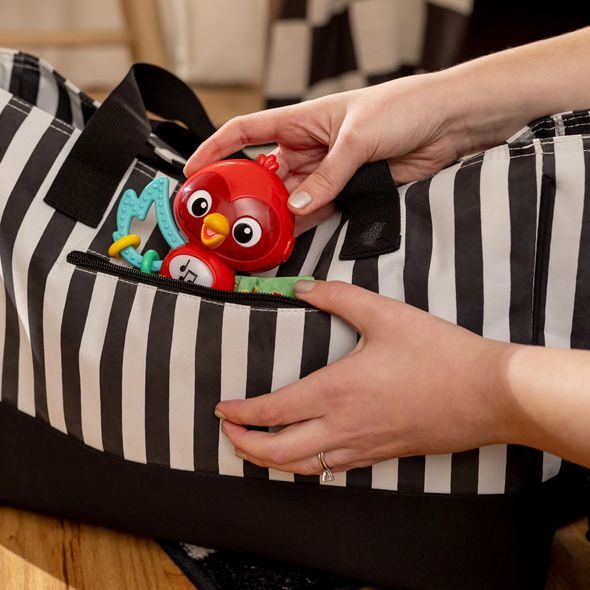 BABY EINSTEIN HRAČKA HUDEBNÍ SENZORICKÁ ROXY'S BRIGHT FLIGHT™ 3M+ - MOTORICKÉ A HUDEBNÍ - PRO DĚTI