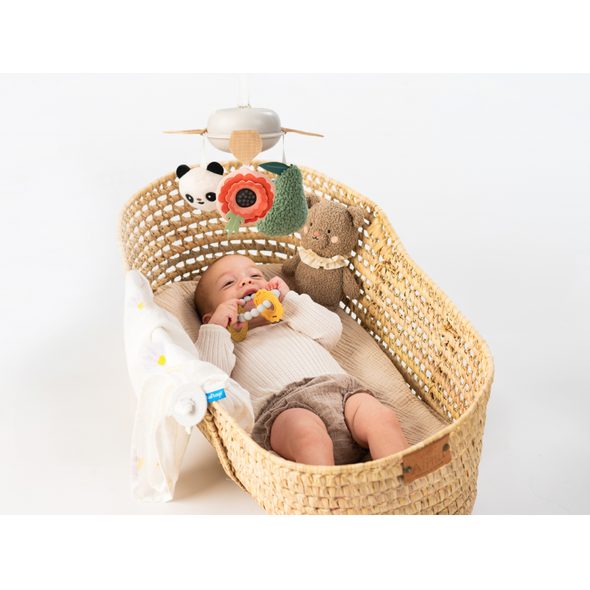 TAF TOYS SADA HRAČEK NEWBORN LUXE - KOLOTOČE NA POSTÝLKU - PRO DĚTI