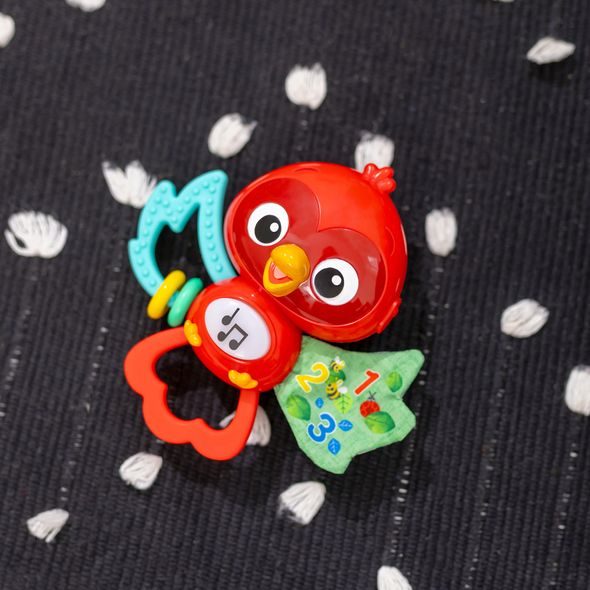 BABY EINSTEIN HRAČKA HUDEBNÍ SENZORICKÁ ROXY'S BRIGHT FLIGHT™ 3M+ - MOTORICKÉ A HUDEBNÍ - PRO DĚTI