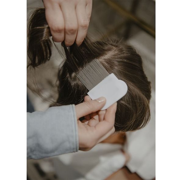 SUAVINEX HŘEBEN NA VŠI A HNIDY - HŘEBÍNKY A KARTÁČKY - KOUPÁNÍ A ZDRAVÍ