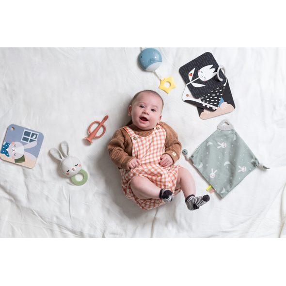 TAF TOYS SADA HRAČEK BEDTIME KIT - USÍNÁČCI MAZLÍCÍ - PRO DĚTI