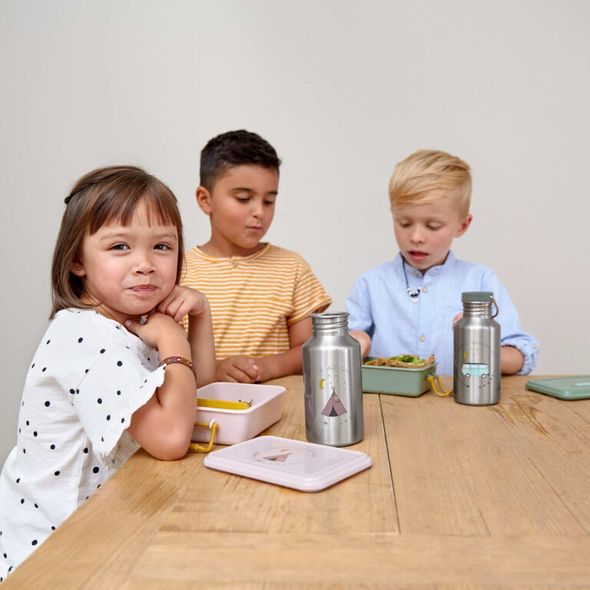 LÄSSIG BOTTLE STAINLESS STEEL ADVENTURE DRAGONFLY - SPORTOVNÍ LAHVE - KRMENÍ