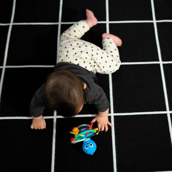 BABY EINSTEIN KOUSÁTKO/CHRASTÍTKO OPUS'S SHAKE & SOOTHE™ 0M+ - KOUSÁTKA - PRO DĚTI