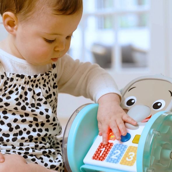 BABY EINSTEIN HRAČKA HUDEBNÍ INTERAKTIVNÍ CHASE & TAP EARL™ 6M+ - MOTORICKÉ A HUDEBNÍ - PRO DĚTI