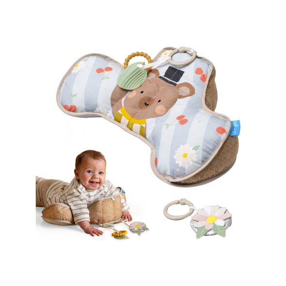 TAF TOYS POLŠTÁŘEK PRO HRU NA BŘÍŠKU MEDVĚD - HRA NA BŘÍŠKU - PRO DĚTI