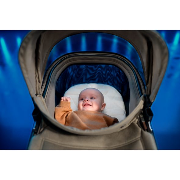 MAXI-COSI FAME KOČÁREK 2V1 TWILLIC GREEN - TROJKOMBINACE - KOČÁRKY A PŘÍSLUŠENSTVÍ