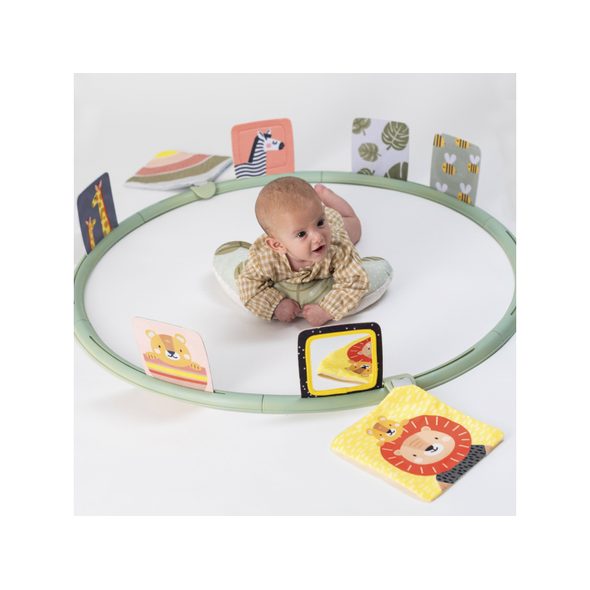 TAF TOYS HRACÍ KRUH PRO HRU NA BŘÍŠKU - HRA NA BŘÍŠKU - PRO DĚTI