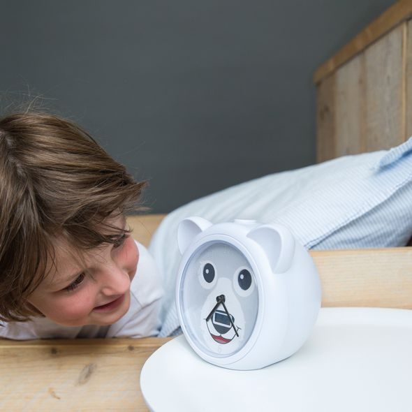 ZAZU MEDVÍDEK BOBBY TRÉNINKOVÝ BUDÍK - TRÉNINKOVÉ BUDÍKY - SPINKÁNÍ