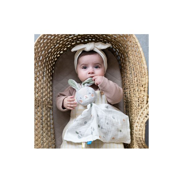 TAF TOYS MUCHLÁČEK KRÁLÍČEK RYLEE - USÍNÁČCI MAZLÍCÍ - PRO DĚTI