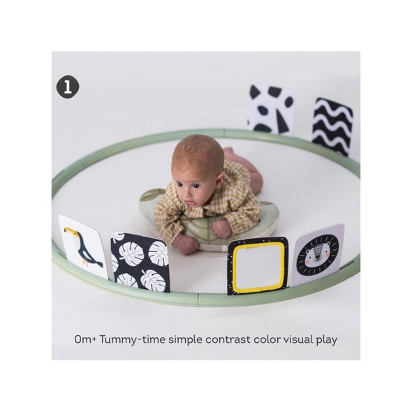 TAF TOYS HRACÍ KRUH PRO HRU NA BŘÍŠKU - HRA NA BŘÍŠKU - PRO DĚTI