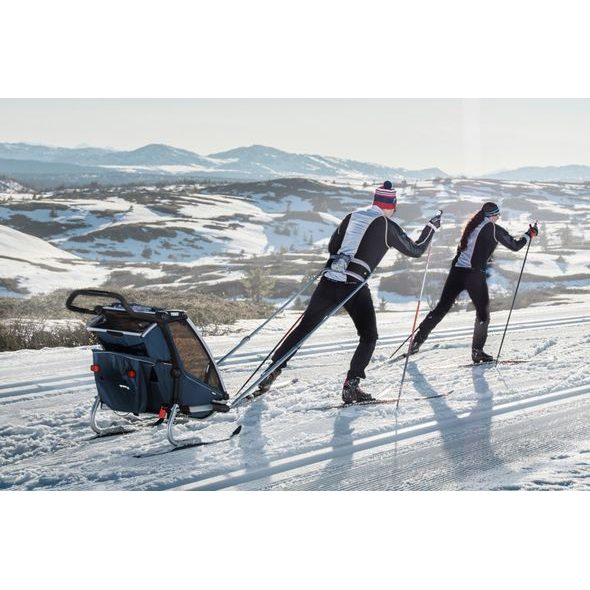 THULE CHARIOT CAB DOUBLE CYPRESS GREEN - VOZÍKY ZA KOLO - NOŠENÍ & SPORT