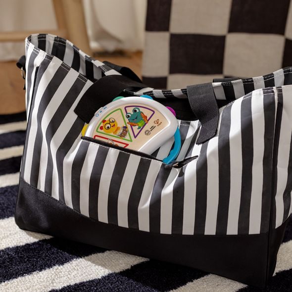 BABY EINSTEIN HRAČKA HUDEBNÍ TAMBURÍNA TAP & SHAKE™ MAGIC TOUCH™ HAPE 6M+ - HUDEBNÍ NÁSTROJE - PRO DĚTI