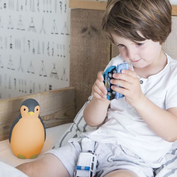 ZAZU TUČŇÁK PAM ŠEDÝ TRÉNINKOVÝ BUDÍK S BEZDRÁTOVÝM REPRODUKTOREM - TRÉNINKOVÉ BUDÍKY - SPINKÁNÍ