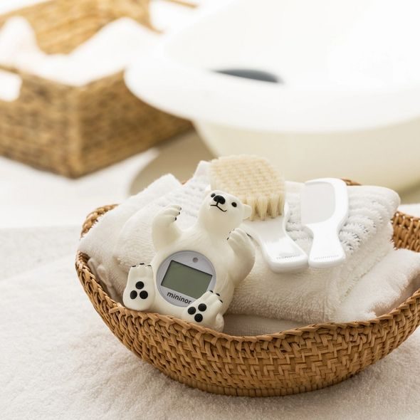 MININOR TEPLOMĚR DO VANY POLAR BEAR - KOUPACÍ TEPLOMĚRY - KOUPÁNÍ A ZDRAVÍ