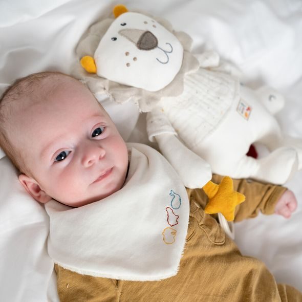 BABY FEHN AKTIVITY HRAČKA LEV - HRAČKY K ZAVĚŠENÍ - PRO DĚTI