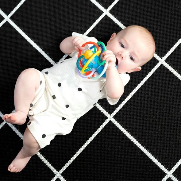 BABY EINSTEIN KOUSÁTKO/CHRASTÍTKO OPUS'S SHAKE & SOOTHE™ 0M+ - KOUSÁTKA - PRO DĚTI