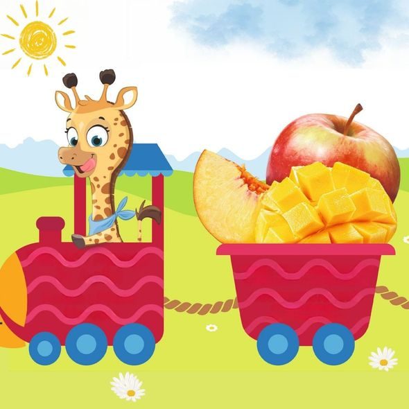 HIPP BIO JABLKA S BROSKVEMI - OVOCE/DEZERTY - KRMENÍ